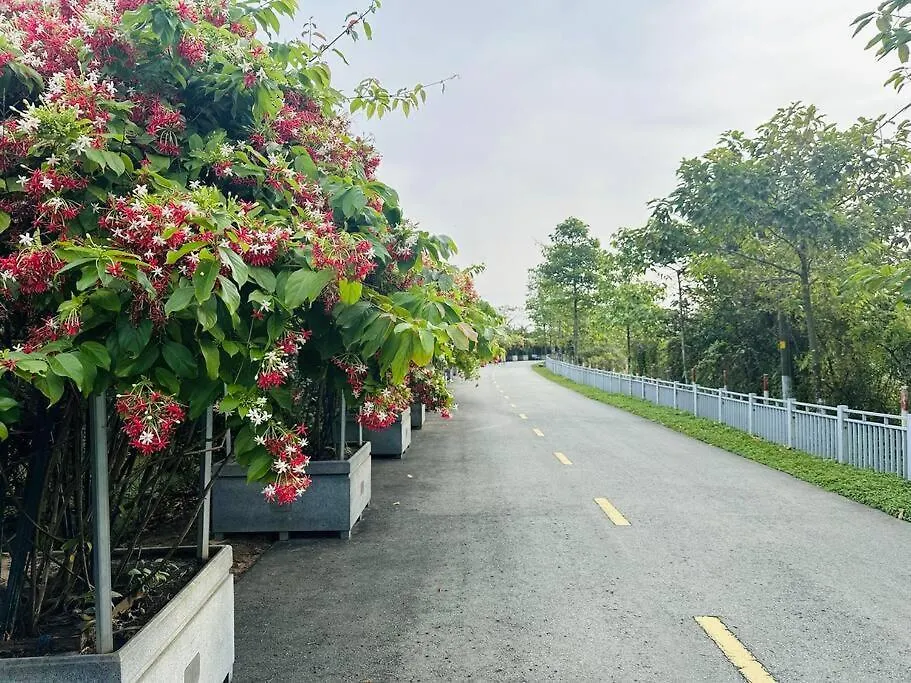 Amielm Homestay Near Airport 胡志明市 公寓