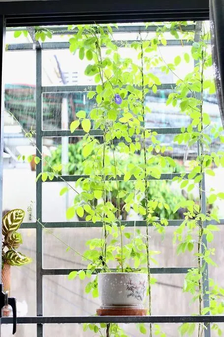 Amielm Homestay Near Airport Ho Chi Minh City Apartment